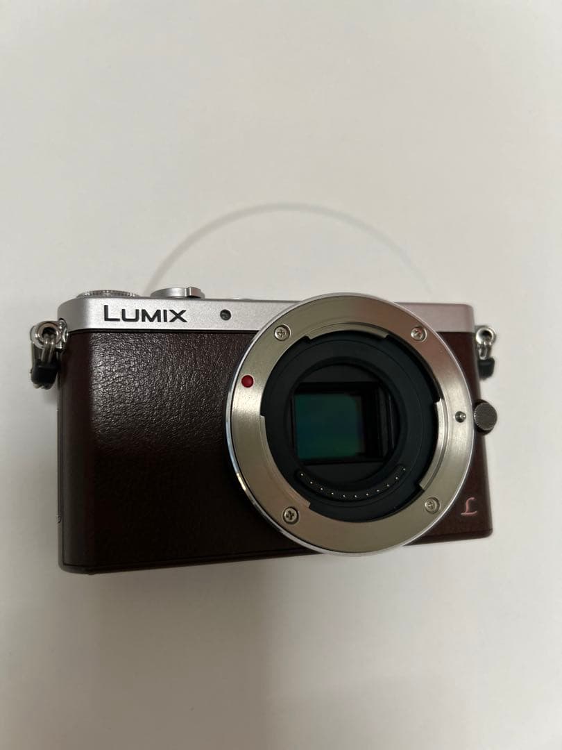 LUMIX gm1ブラウン　Cマウントレンズセットで！
