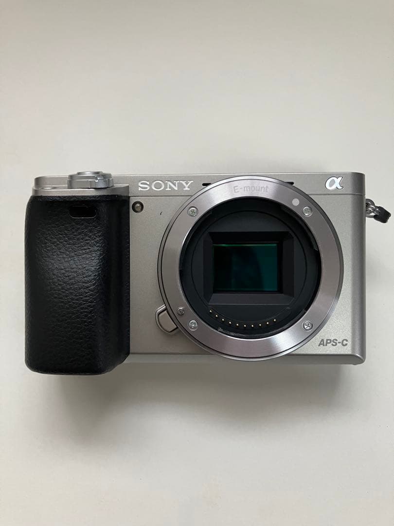 G*e様 SONY α6000 ミラーレスカメラ ダブルズームレンズキット