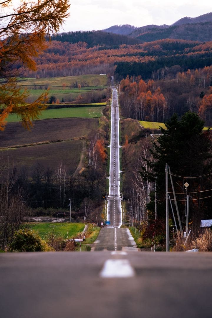 XF50-140mmF2.8 OIS WR X用 三脚座/フード付