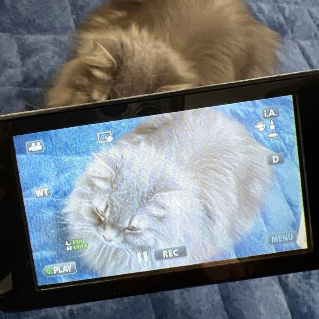 ビデオカメラ JVC GZ-E242