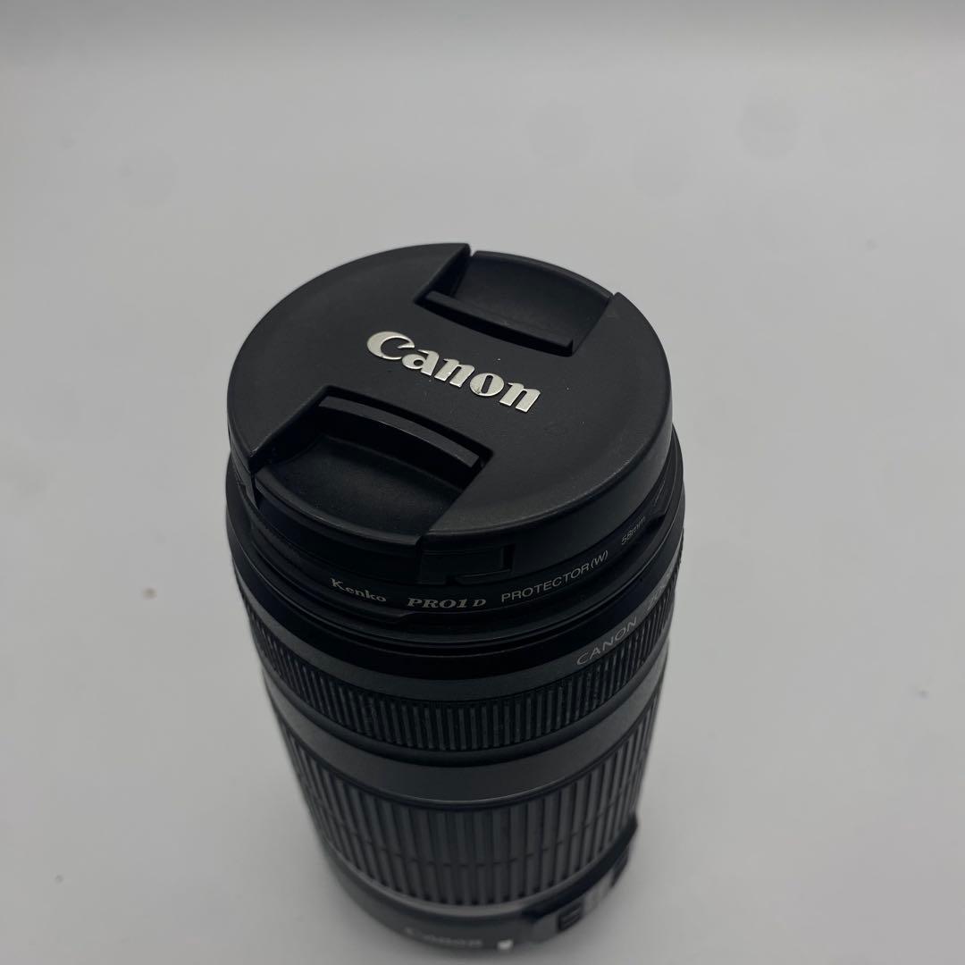Canon ズームレンズEF-S55-250mm