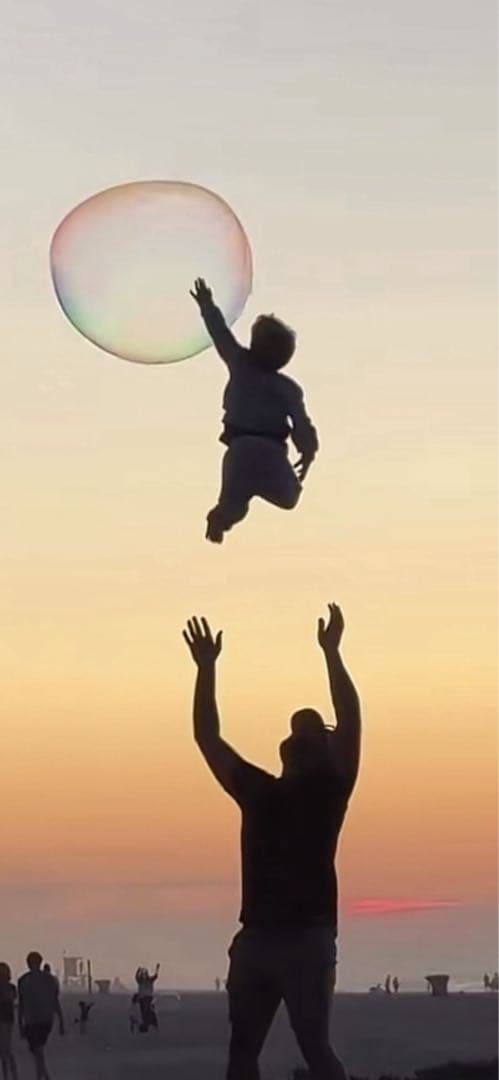 新品未開封　シュリンク付き　ポケモンカードゲーム メガドリームex