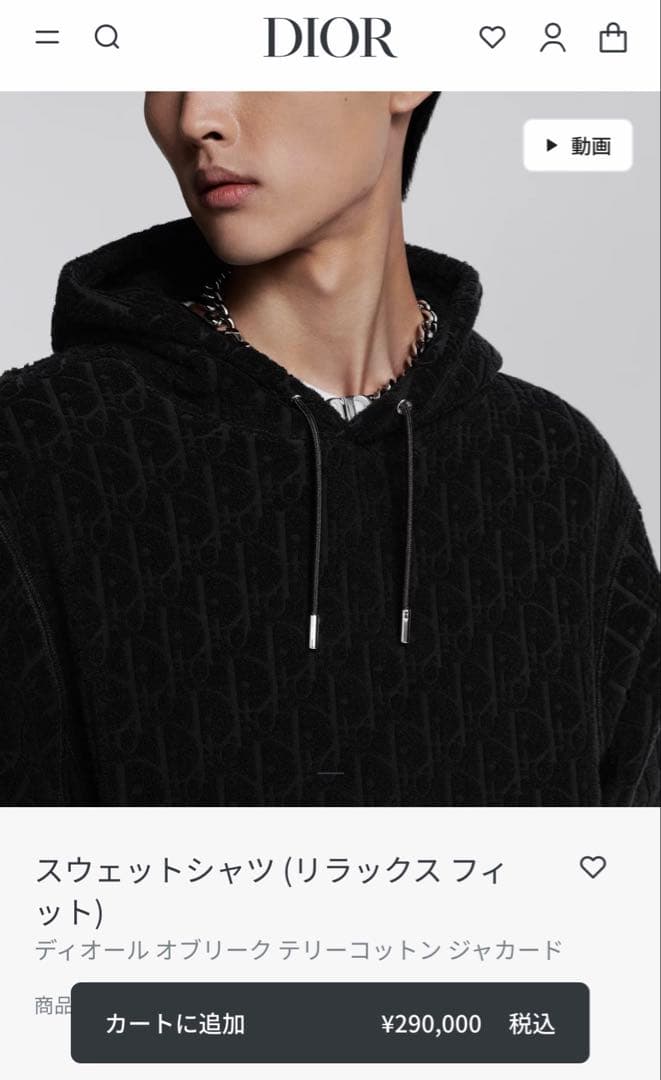 日本正規品　ディオール　パーカー　オブリーク　黒　M