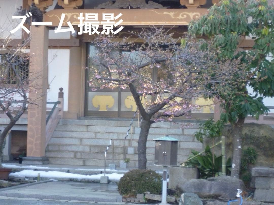 実写良⭕️美品【動作確認済】LUMIX DMC-FH1